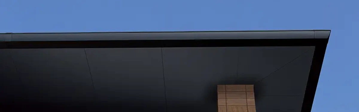 軒 天 と は